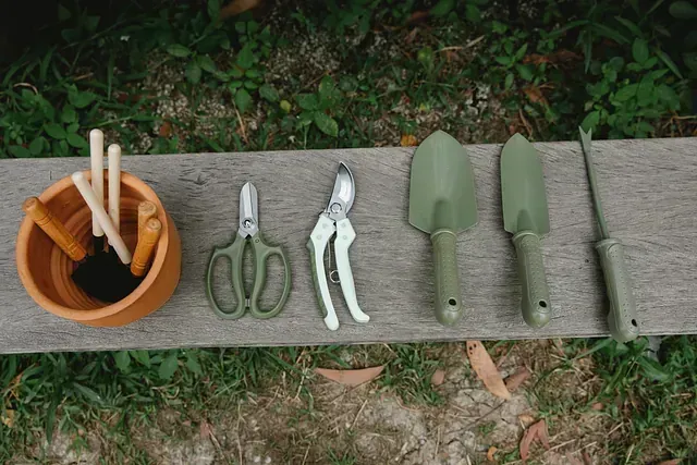 Herramientas de jardinería: un recipiente, tijeras, podadoras, paletas y un cuchillo para desherbar sobre una superficie de madera.