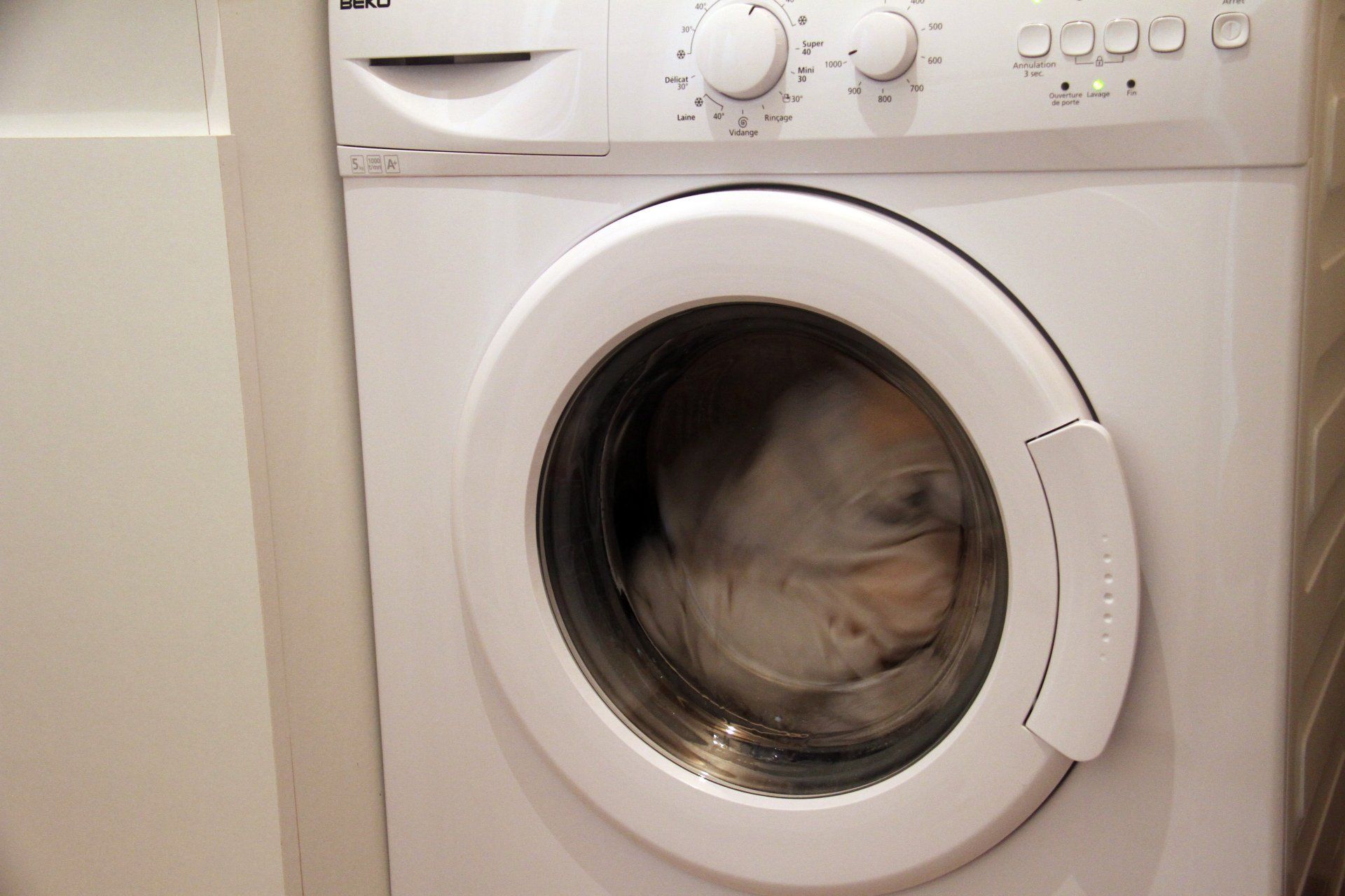 Blanchisserie industrielle