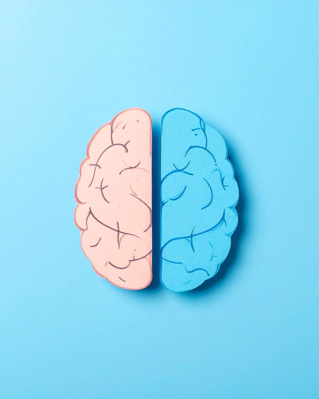 Cerebro de papel rosa y azul partido por la mitad sobre fondo azul.