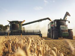 Mähdrescher ernten Weizen und füllen den Getreidewagen eines Traktors auf einem Feld unter sonnigem Himmel.