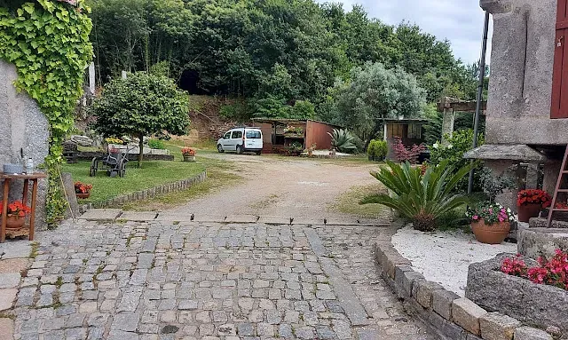 Un camino adoquinado que conduce a una casa rodeada de árboles y arbustos.