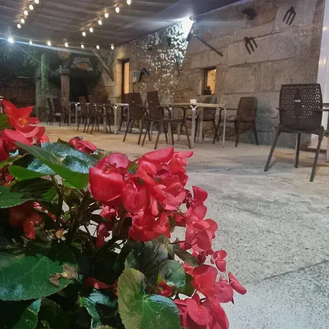 Un patio con mesas y sillas y flores rojas en primer plano.