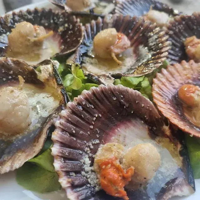 Un primer plano de un plato de vieiras en una mesa.