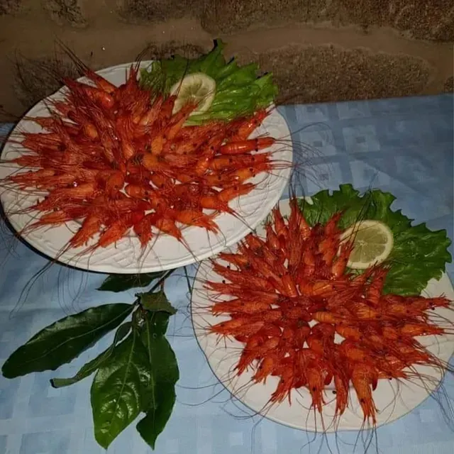 Dos platos de camarones y lechuga en una mesa.