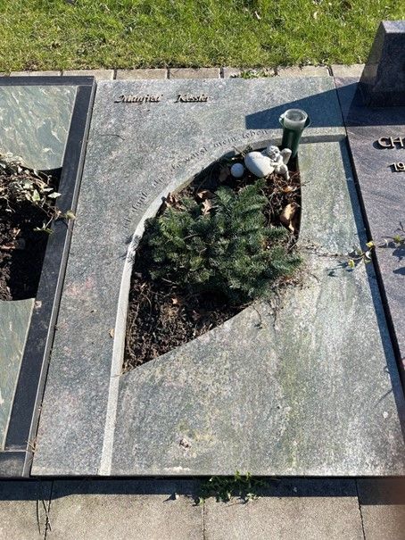 Ein Grab mit einer Pflanze in der Mitte.