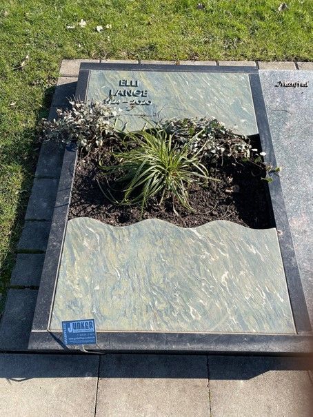 Ein Grab mit einer Pflanze in der Mitte.