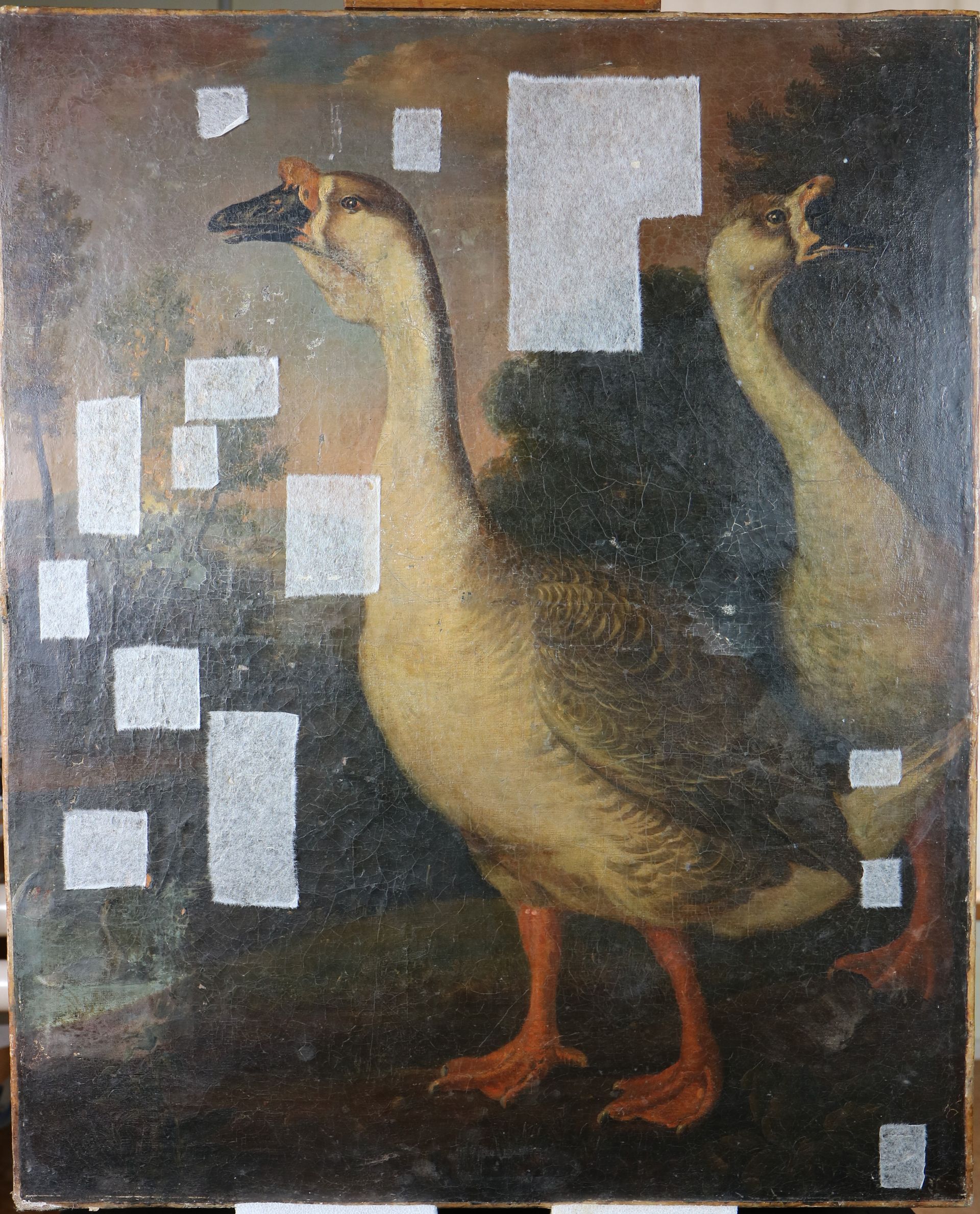 Tableau avec des oies avant restauration.