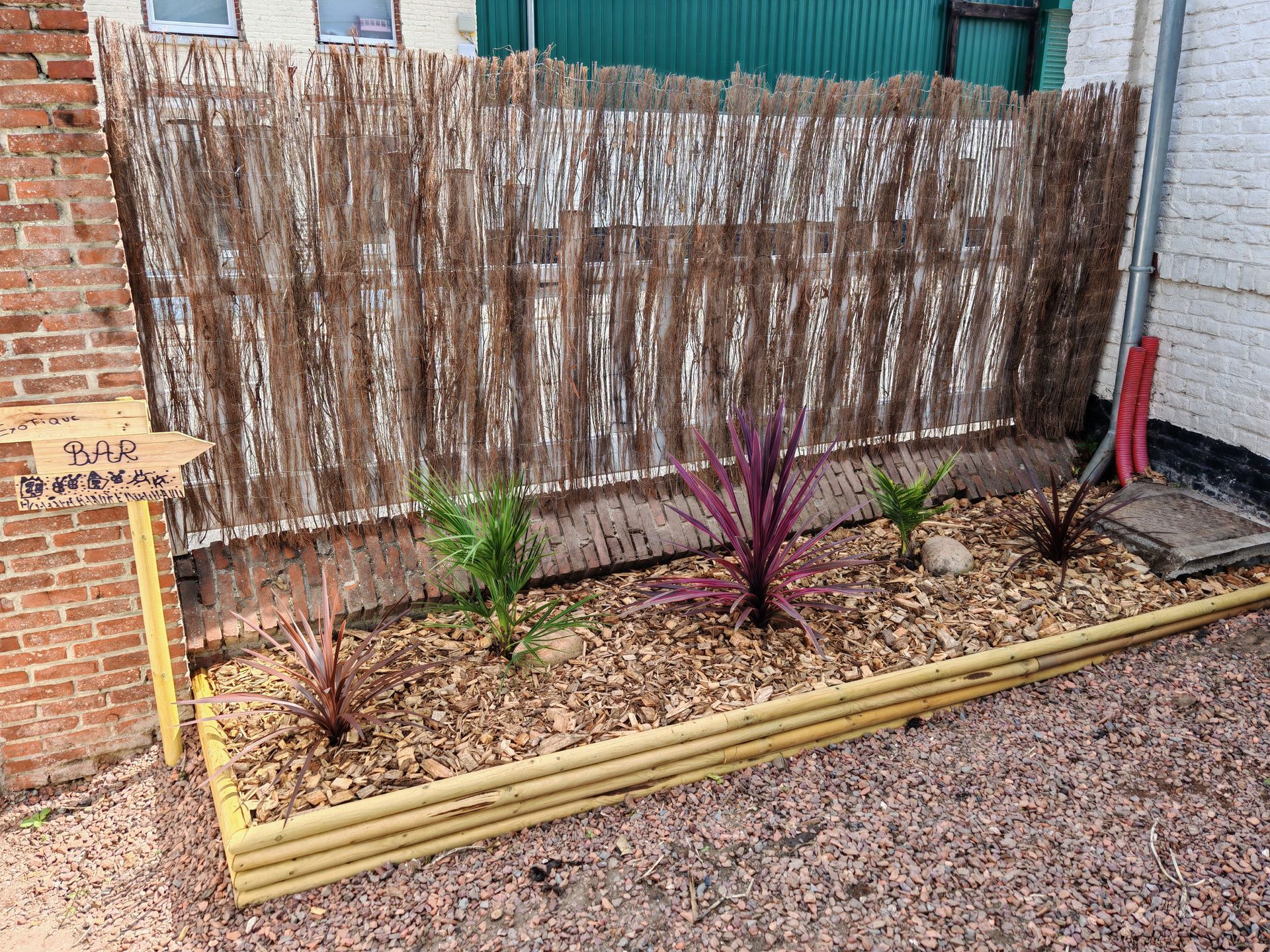 Un jardin au crépuscule, avec une pelouse bien entretenue, des haies taillées, des guirlandes lumineuses et une maison.