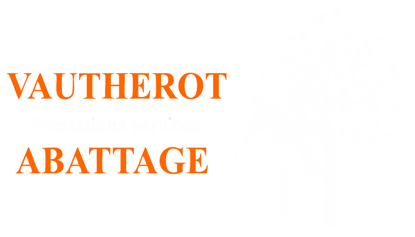 Texte orange sur fond blanc : 