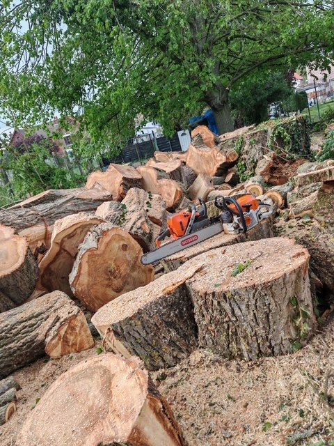 Pile de bûches fraîchement coupées avec une tronçonneuse ; une personne est visible en arrière-plan. Extérieur.