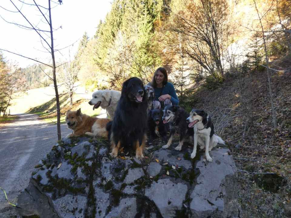 Hunde und Besitzerin posieren für die Kamera