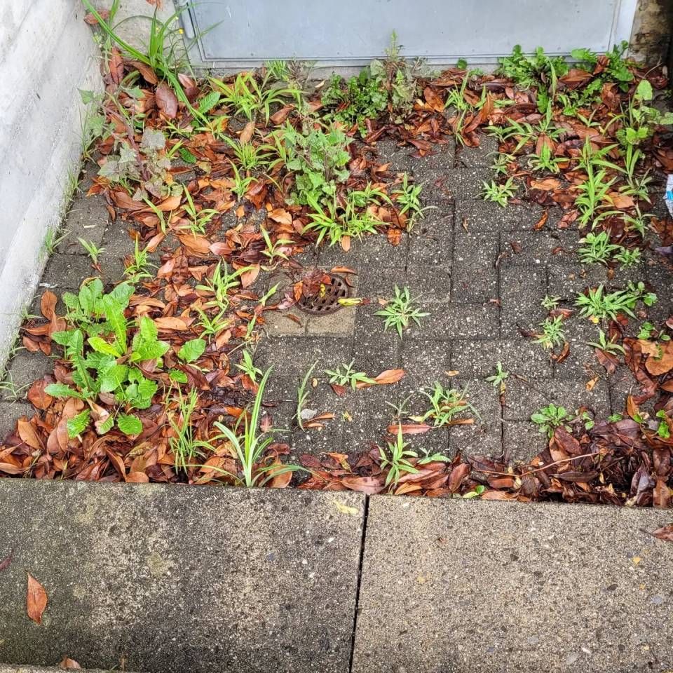 A & B Hauswartung GmbH