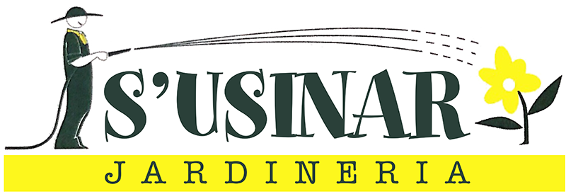 logotipo cabecera