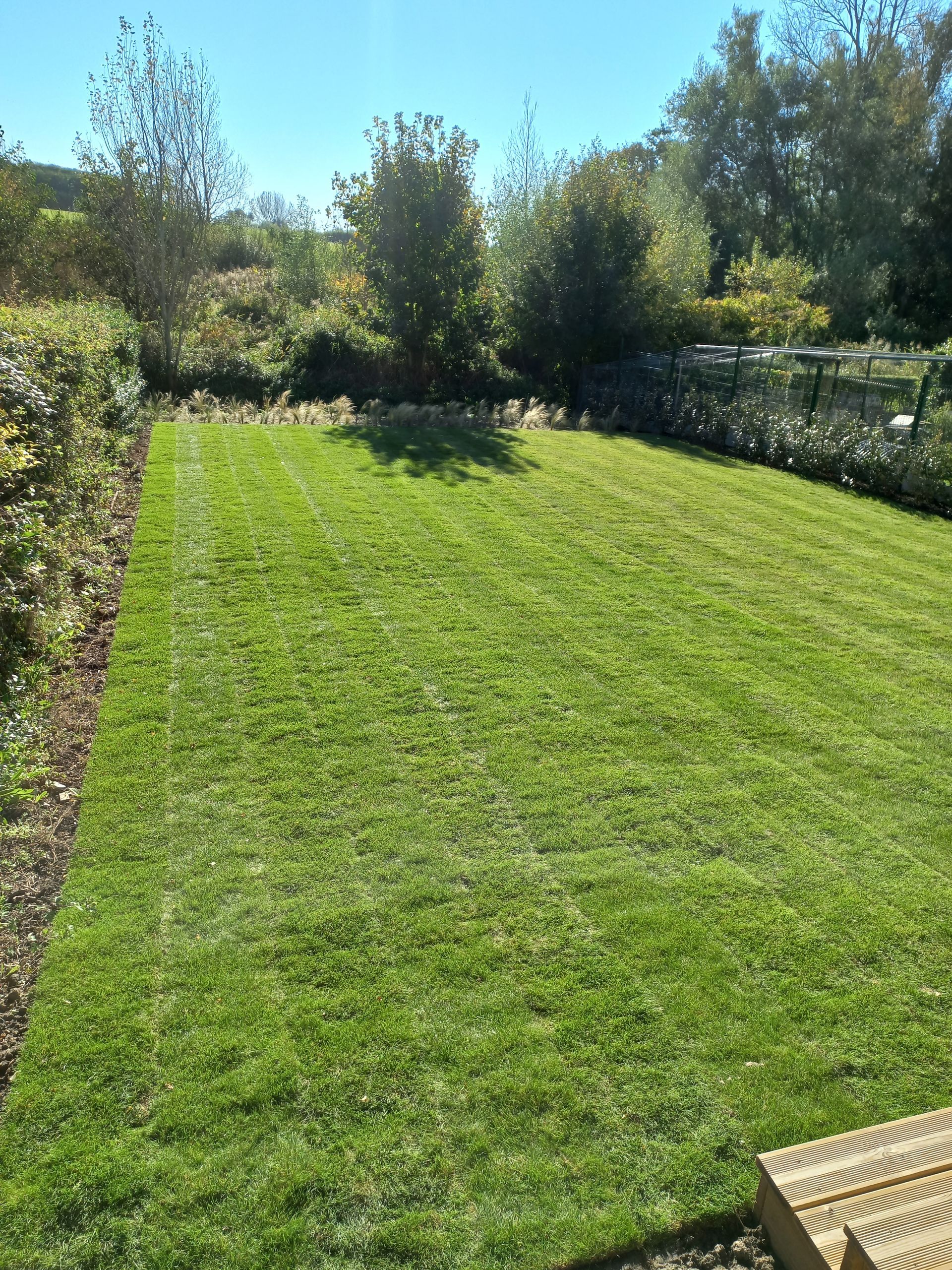 Un jardin avec un beau gazon