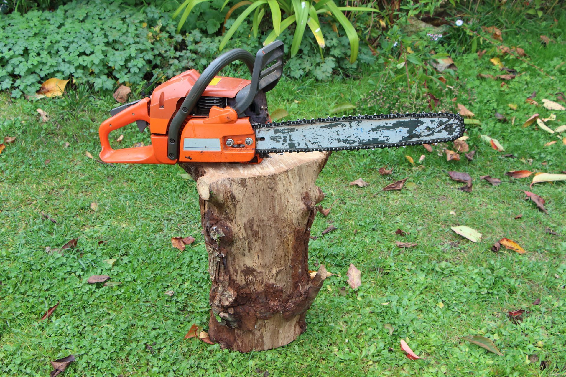 Une tronçonneuse sur un tronçon d'arbre
