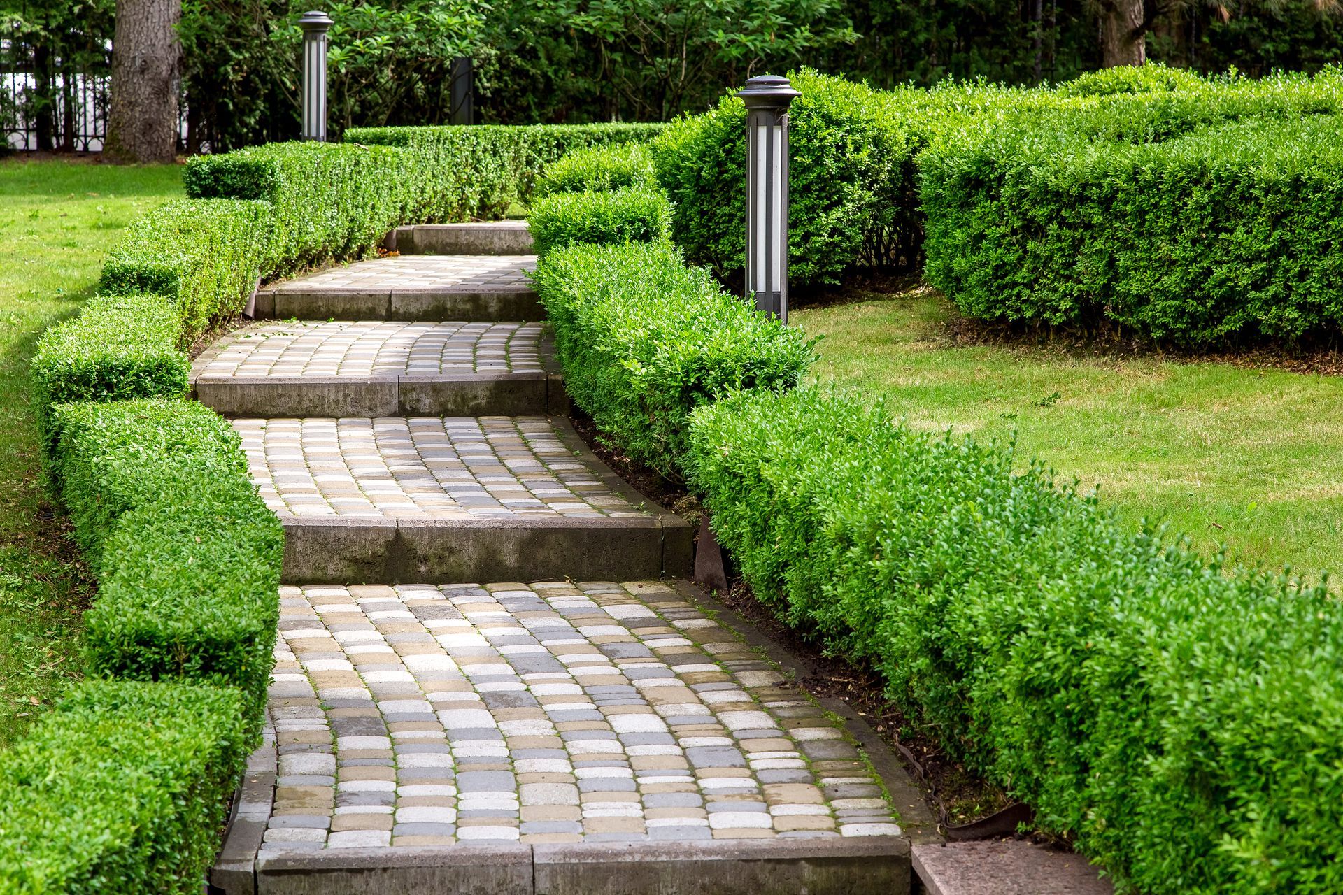 Un jardin avec des haies et des marches