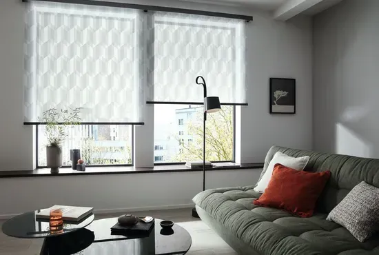 Ein Wohnzimmerfenster mit modernen Doppelrollos