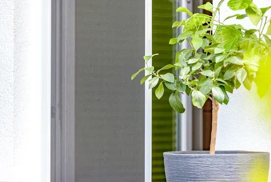 Nahaufnahme eines grauen Insektenschutzgitters vor einem Fenster, daneben eine grüne Zimmerpflanze.