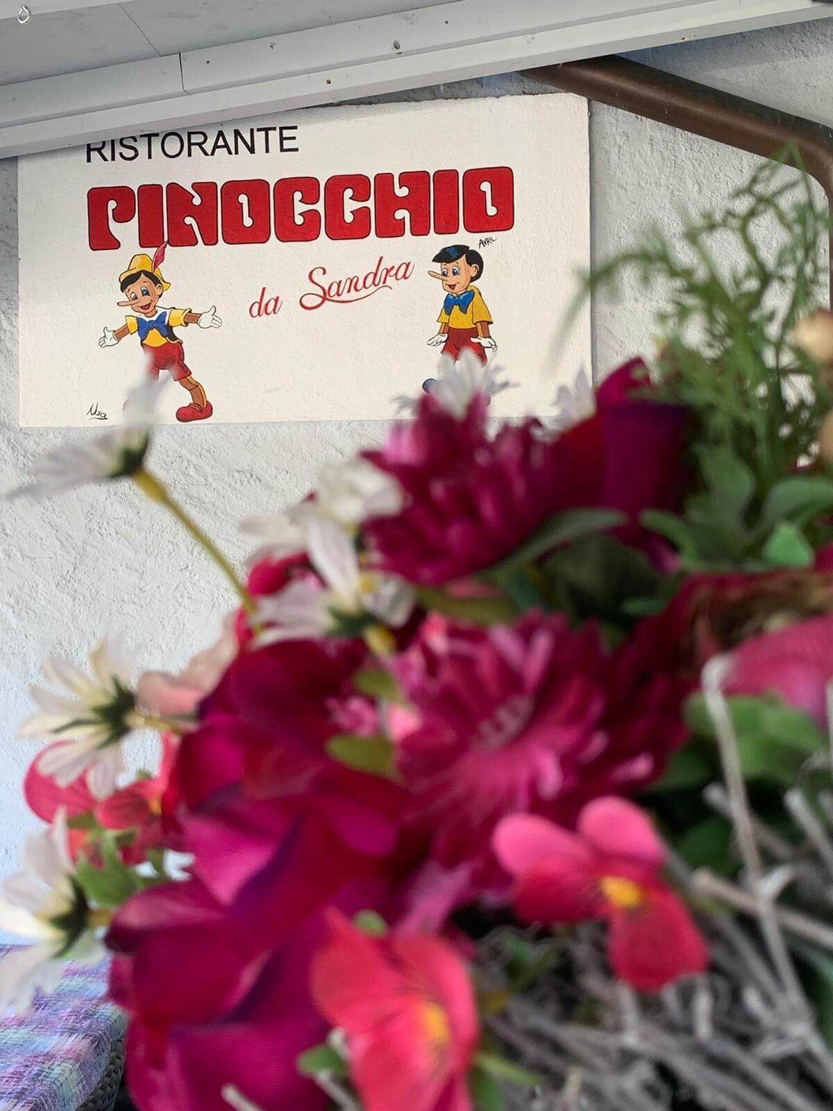 fiori del ristorante sul lago - Ristorante Pinocchio da Sandra