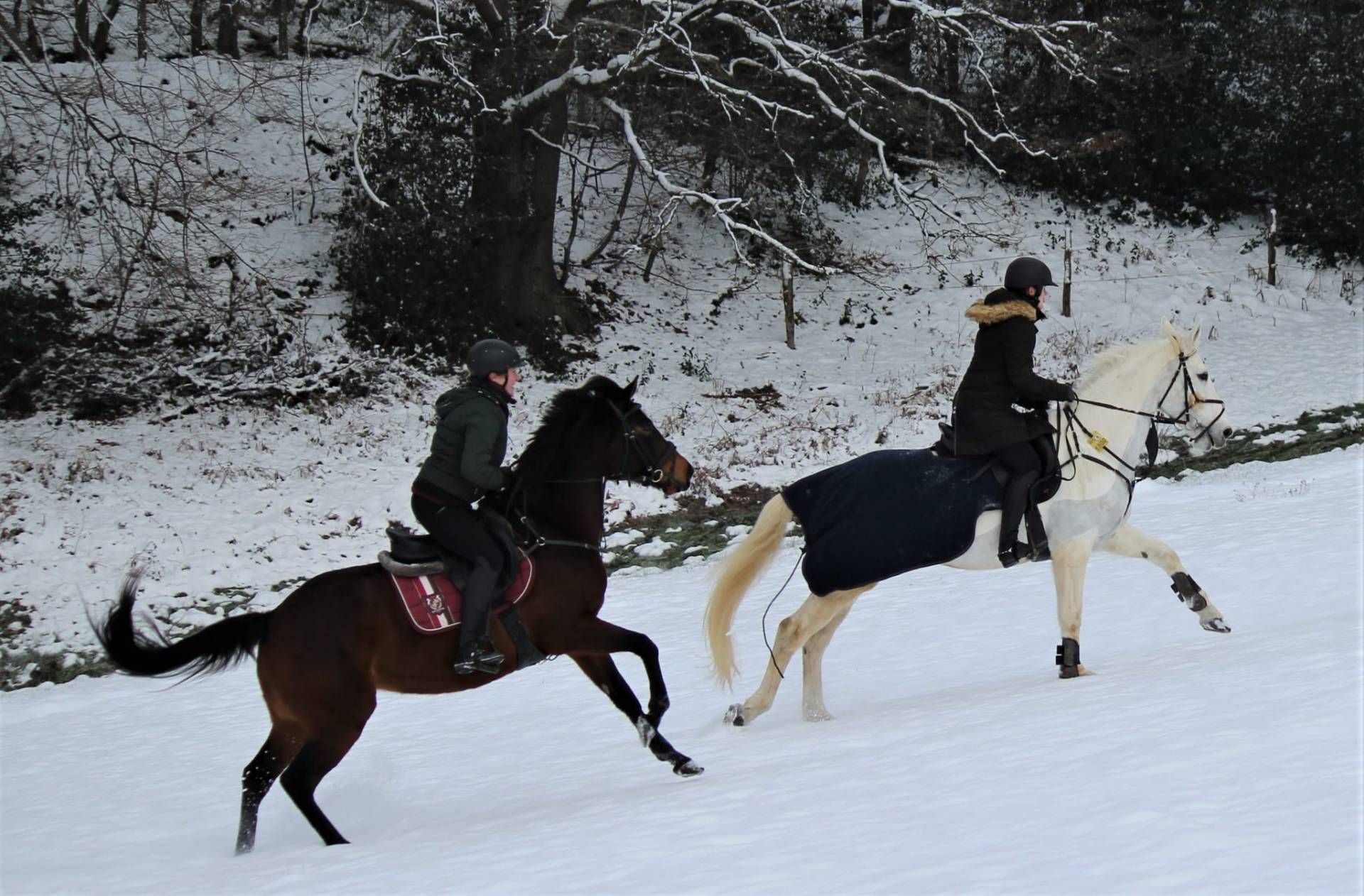 zwei Frauen reiten im Schnee auf braunen und weißen Pferden