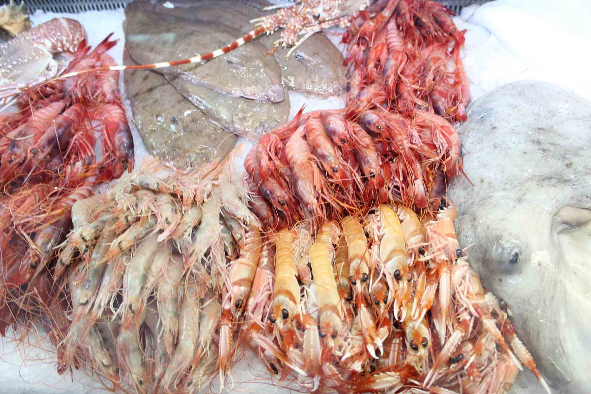 En un mercado se exhibe una variedad de mariscos en hielo.