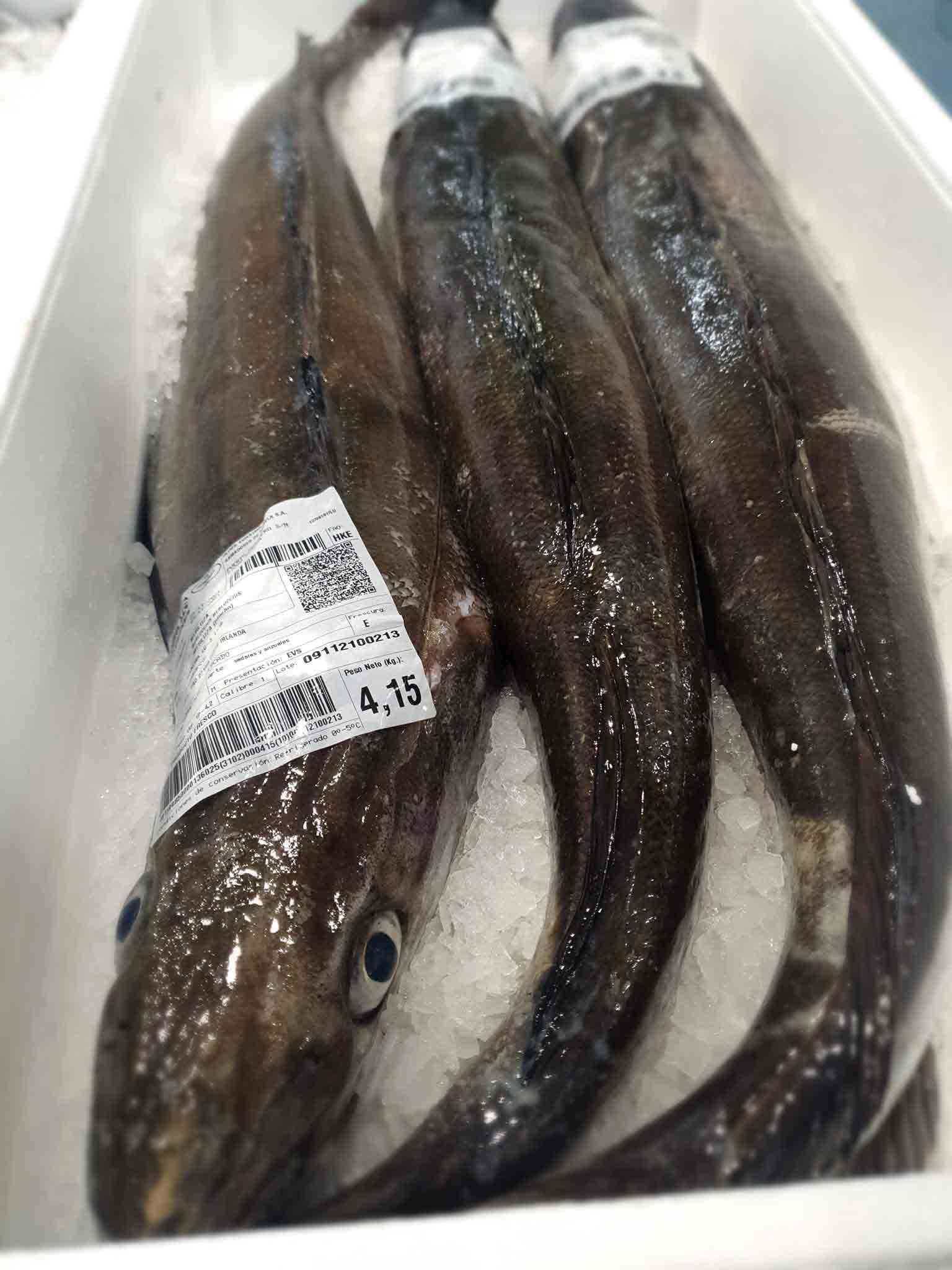 Un montón de peces están sentados sobre hielo en una caja.