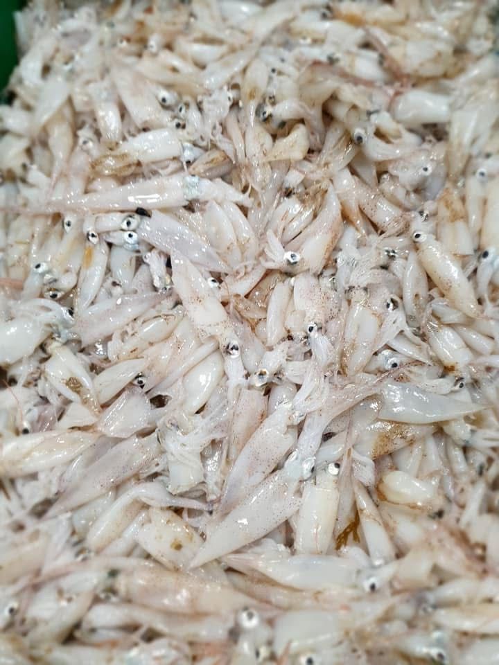 Una pila de calamares está colocada uno encima del otro sobre una mesa.