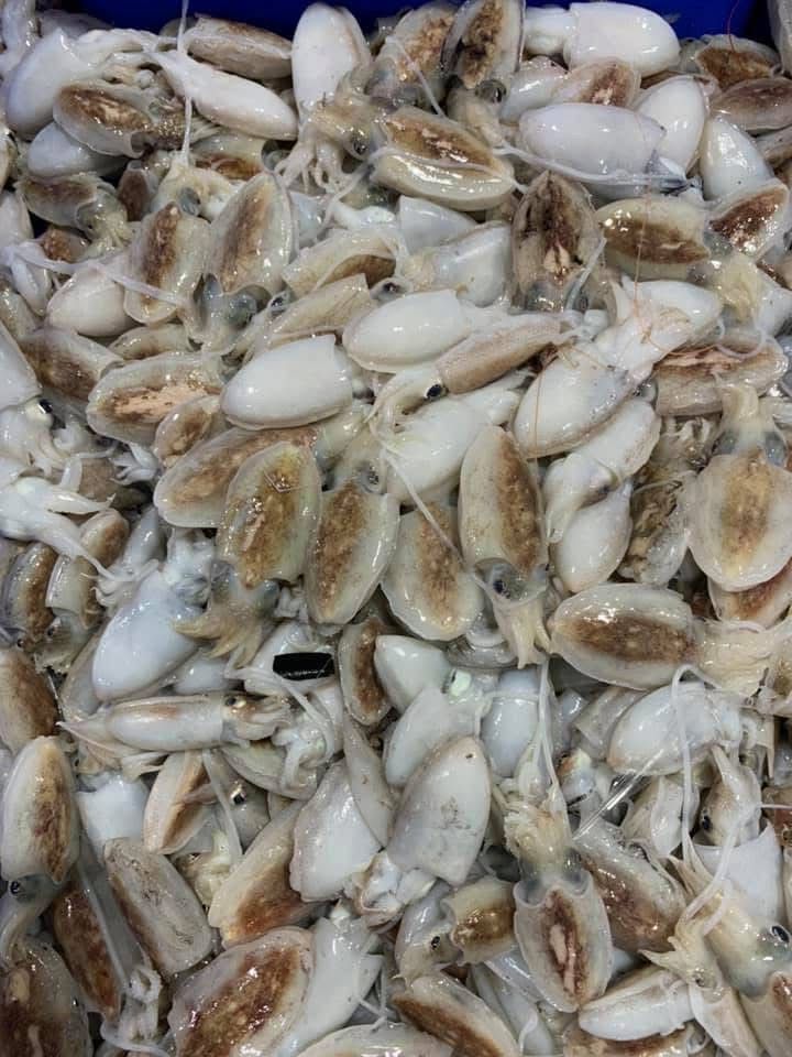 Una pila de calamares está colocada uno encima del otro sobre una mesa.