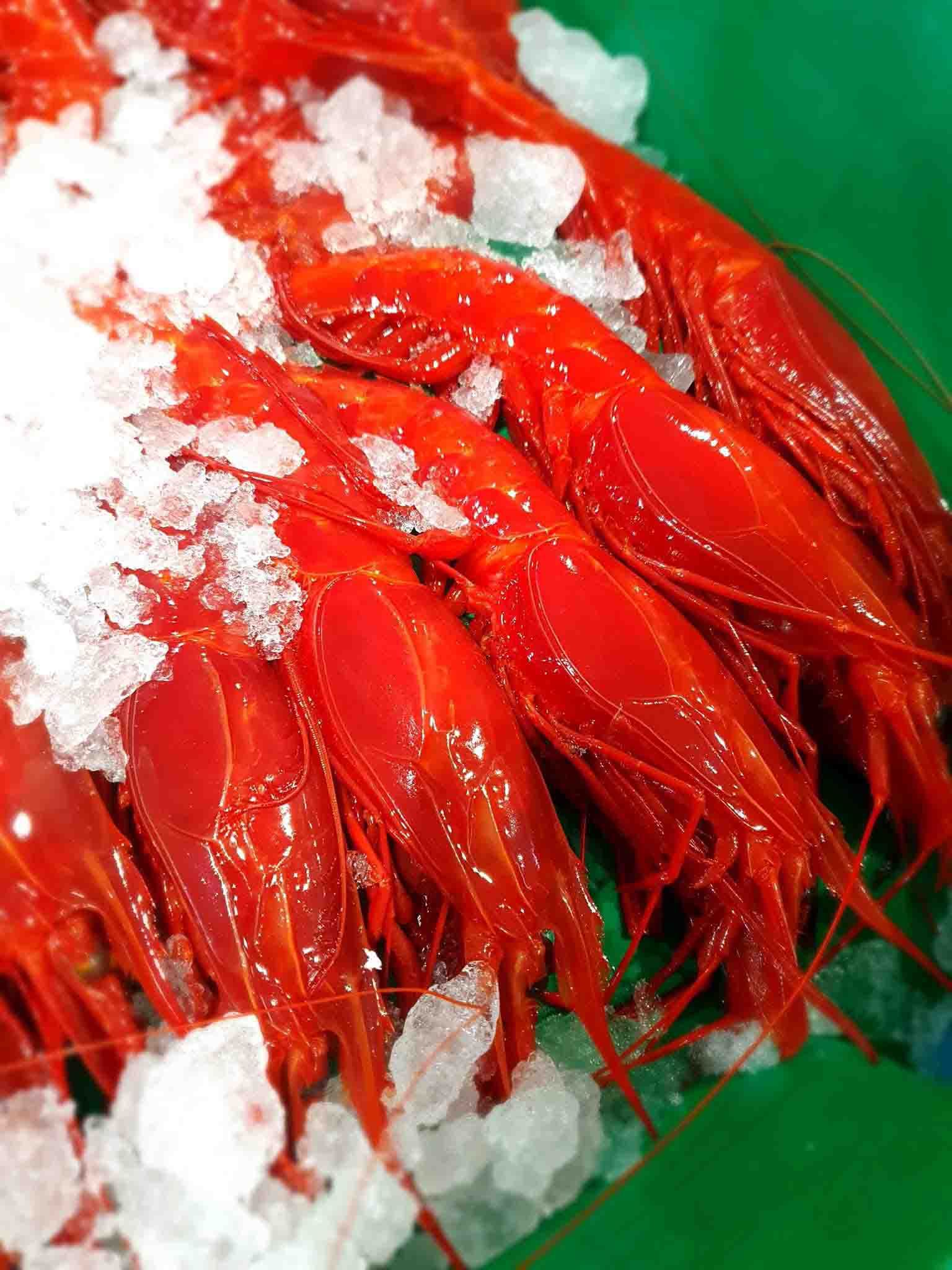 Un montón de camarones rojos sobre hielo en un recipiente verde.