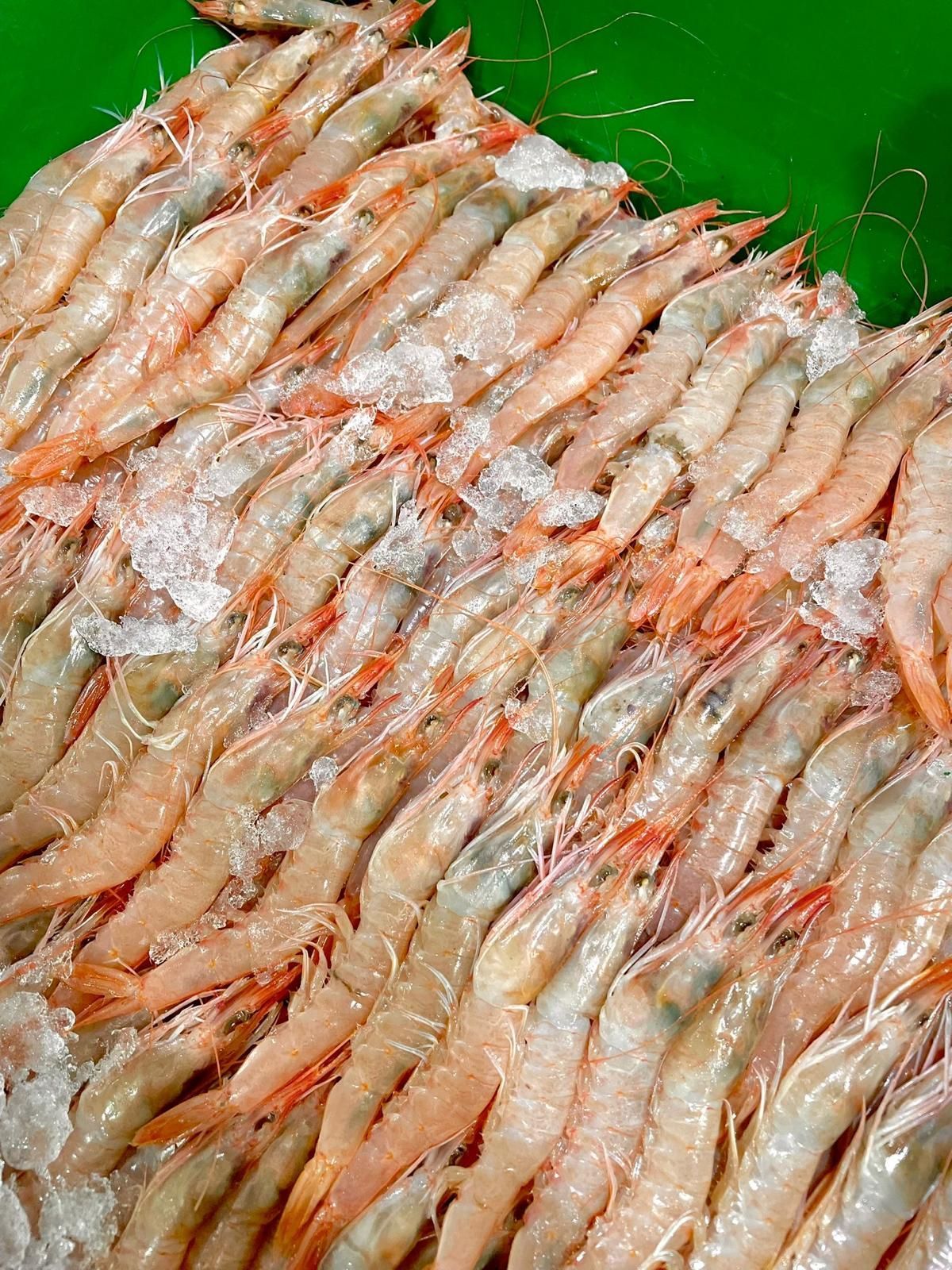 Un montón de diferentes tipos de peces están sentados sobre una mesa.