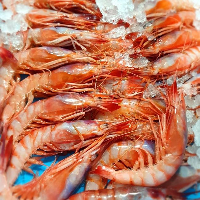 Un primer plano de una langosta sobre una superficie azul.