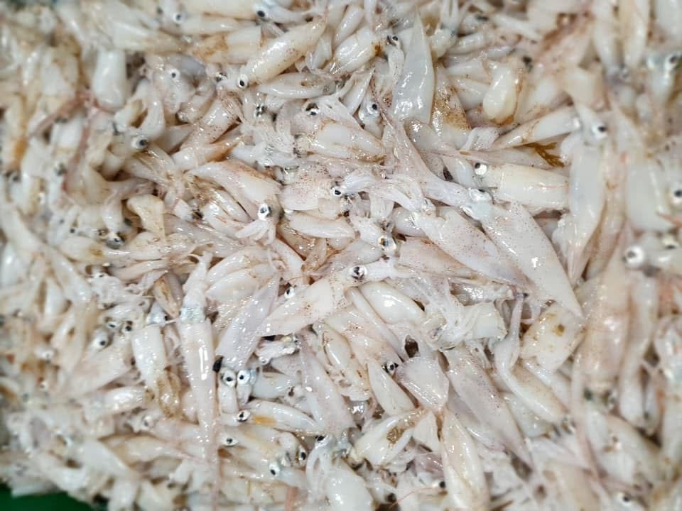 Una pila de calamares está encima de una mesa.