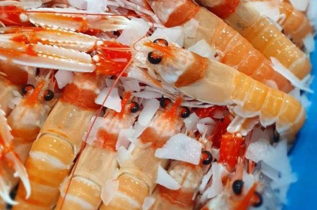 Un primer plano de una pila de camarones en un plato azul.