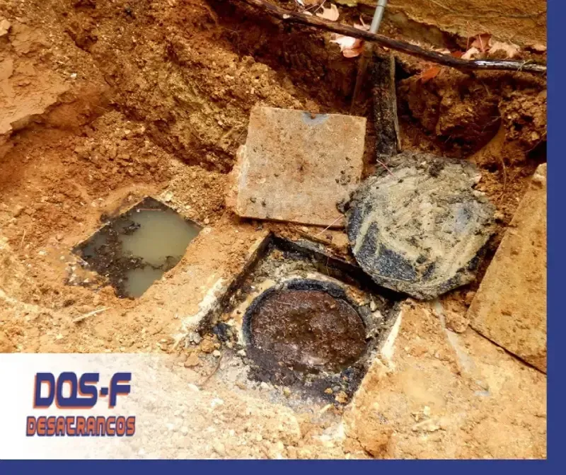 La palabra dos-f que está en una imagen