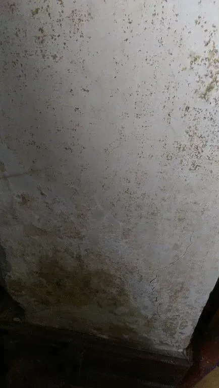 Esther Hohl-Bünzli GmbH