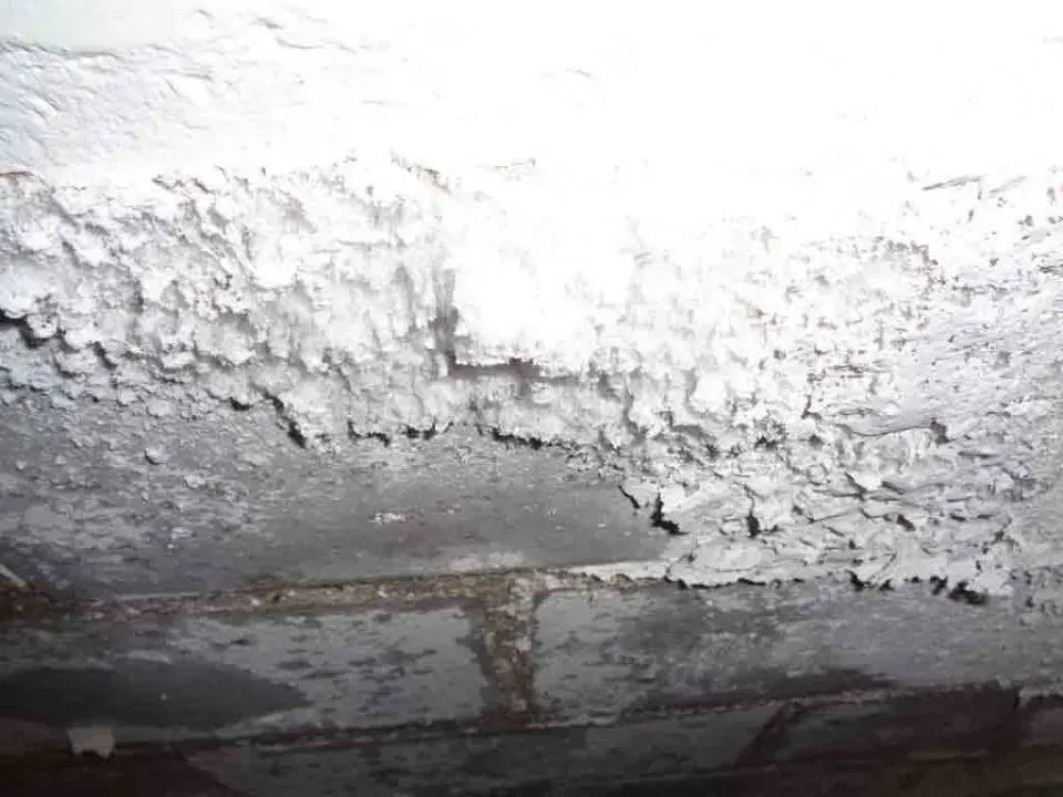 Esther Hohl-Bünzli GmbH