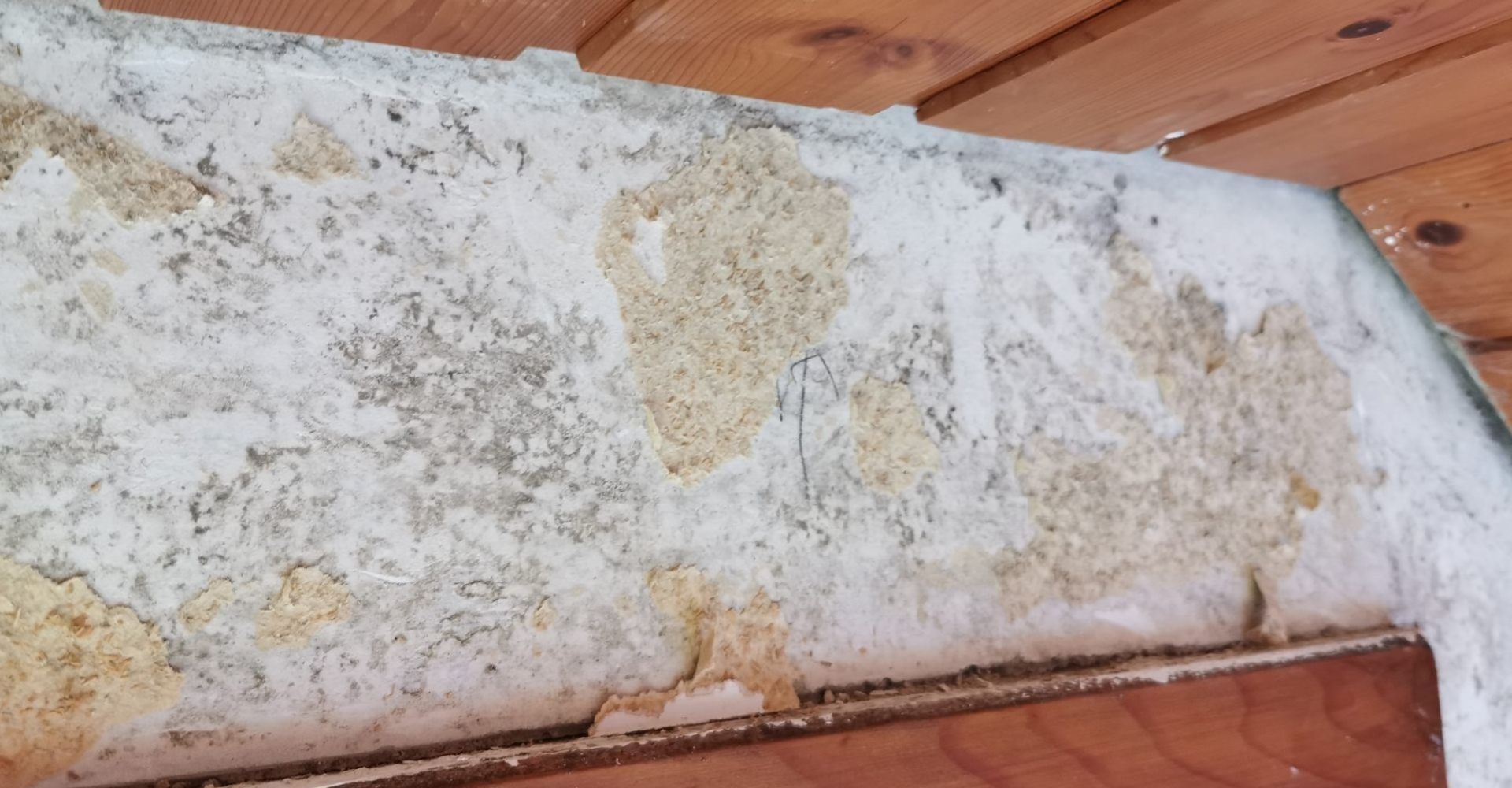 Malerarbeit von der von der Esther Hohl-Bünzli GmbH