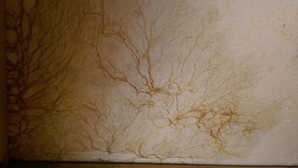 Esther Hohl-Bünzli GmbH