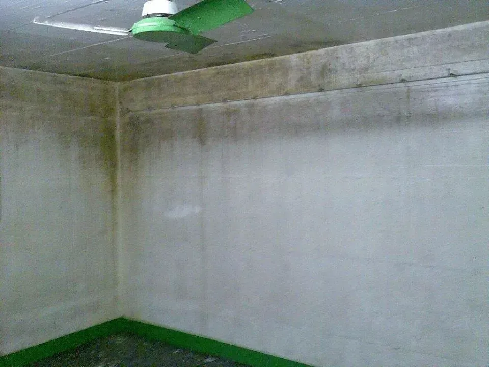 Esther Hohl-Bünzli GmbH