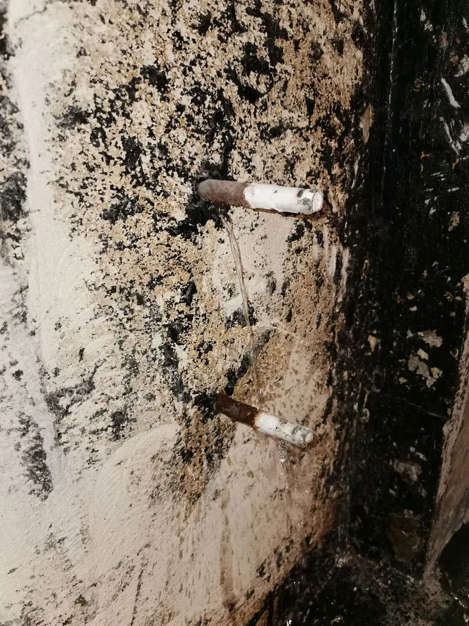 Esther Hohl-Bünzli GmbH