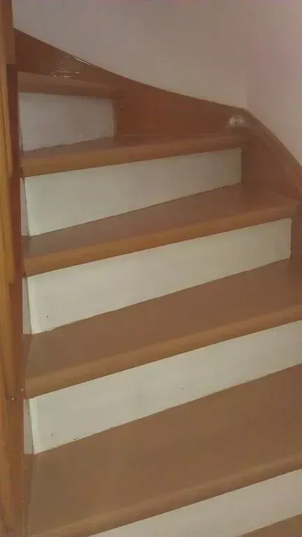 Esther Hohl-Bünzli GmbH