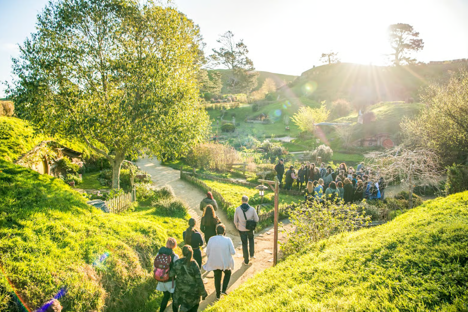 A group of people walks along a sunlit path through a verdant, rolling landscape at Hobbiton in New Zealand.