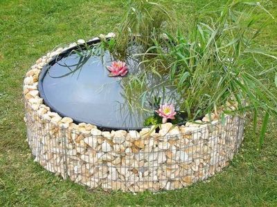 Petit bassin de jardin circulaire bordé de pierres, avec des nénuphars roses et de hautes herbes sur une pelouse