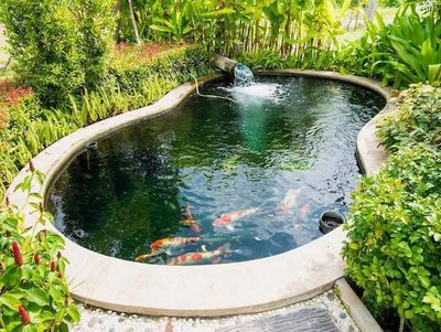 Des carpes koï nagent dans un petit bassin entouré de plantes verdoyantes et de fleurs.