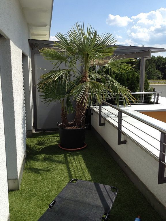 Terrasse mit Rasenteppich verlegt