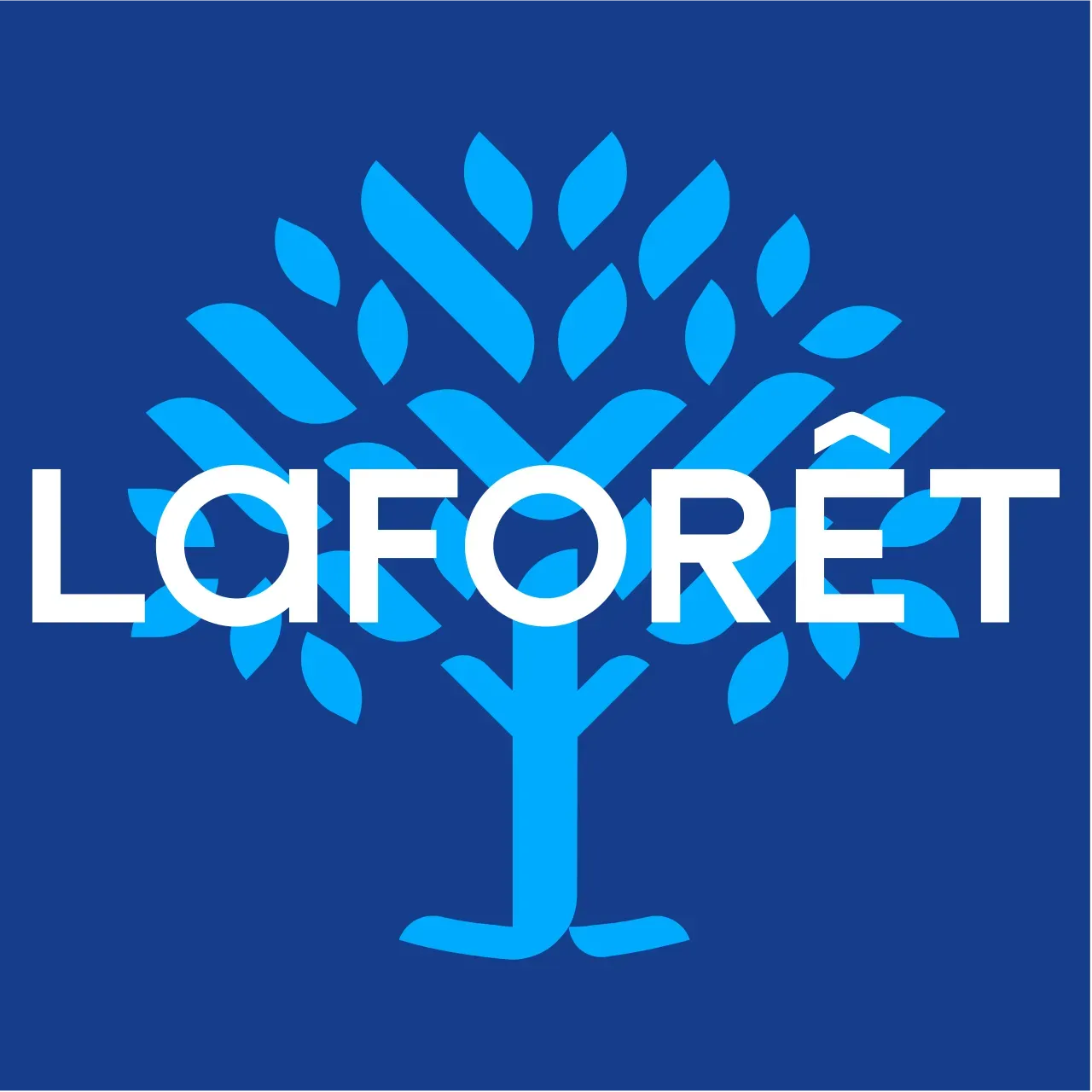 Logo Laforêt