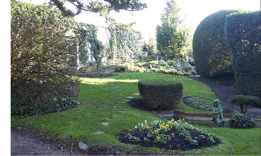 Pelouse verte et haies taillées dans un jardin.