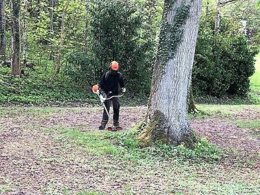 Une personne portant un équipement de protection coupe l'herbe près d'un arbre avec une débroussailleuse dans une zone boisée.