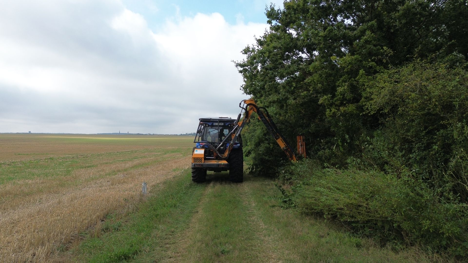 Tronçonneuse rouge sur une souche d'arbre, entourée de souches coupées et de feuillage.