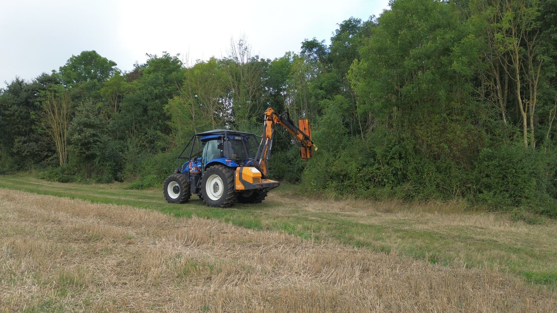Arboriste en tenue de sécurité, travaillant dans un arbre.